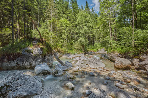 Gemeinde Ramsau Landkreis Berchtesgadener_Land Zauberwald am Hintersee (Dirschl Johann) Deutschland BGL